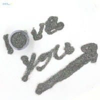 KILY Silver Holographic Glitter Polyester Glitter for Craft and Nail LB100